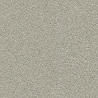 NICHOLASJOHN INC NJ-TATTA Gray    Fabric - NJ25-3438