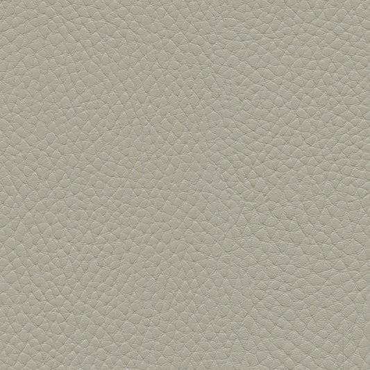 NICHOLASJOHN INC NJ-TATTA Gray    Fabric - NJ25-3438