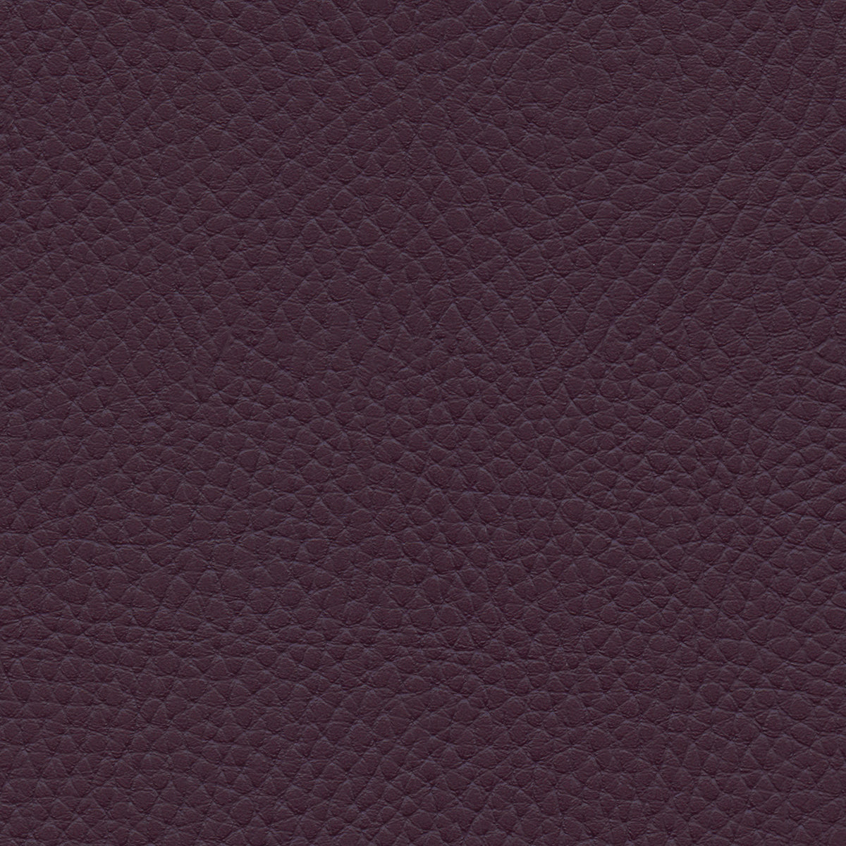 NICHOLASJOHN INC NJ-TATTA Purple    Fabric - NJ25-3439