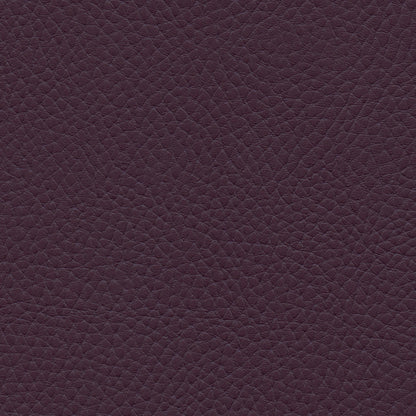 NICHOLASJOHN INC NJ-TATTA Purple    Fabric - NJ25-3439