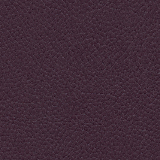 NICHOLASJOHN INC NJ-TATTA Purple    Fabric - NJ25-3439