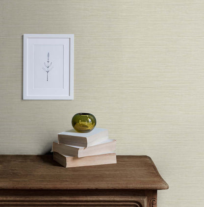 Seabrook Designs Even More Textures Silk Abstract Contemporary Beige Matte  - TS81403