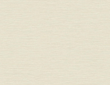 Seabrook Designs Even More Textures Silk Abstract Contemporary Beige Matte  - TS81403