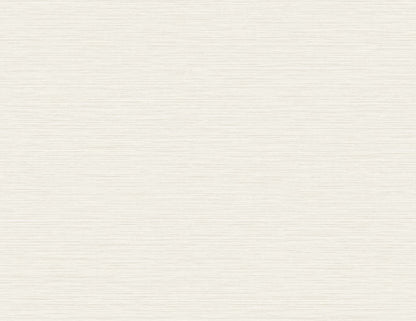 Seabrook Designs Even More Textures Silk Abstract Contemporary Off-White Matte  - TS81413