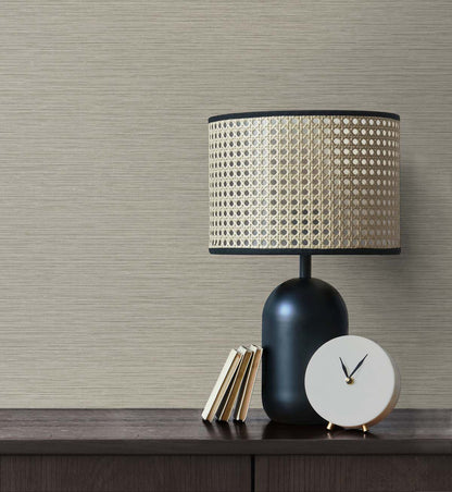 Seabrook Designs Even More Textures Silk Abstract Contemporary Beige Matte  - TS81427