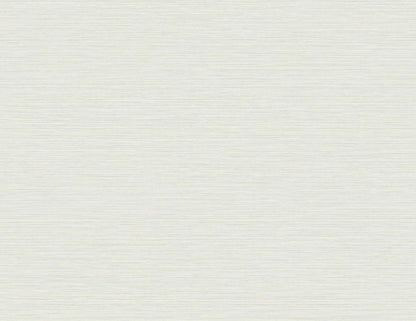 Seabrook Designs Even More Textures Silk Abstract Contemporary Grey Matte  - TS81434