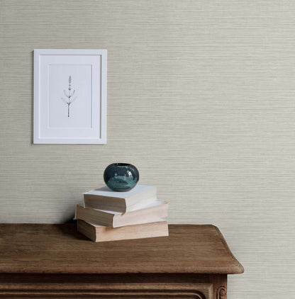 Seabrook Designs Even More Textures Silk Abstract Contemporary Grey Matte  - TS81436