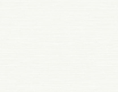 Seabrook Designs Even More Textures Seawave Sisal Sisal Contemporary Off-White Matte  - TS82000