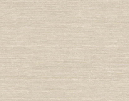 Seabrook Designs Even More Textures Seawave Sisal Sisal Contemporary Beige Matte  - TS82003
