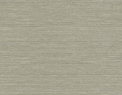 Seabrook Designs Even More Textures Seawave Sisal Sisal Contemporary Brown Matte  - TS82005