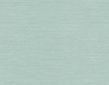 Seabrook Designs Even More Textures Seawave Sisal Sisal Contemporary Blue Matte  - TS82006