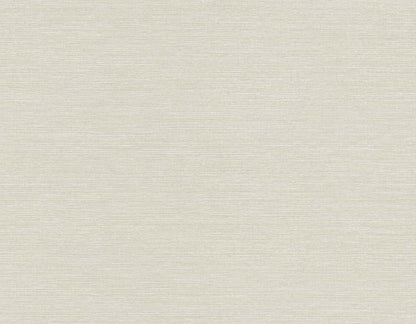 Seabrook Designs Even More Textures Seawave Sisal Sisal Contemporary Grey Matte  - TS82025