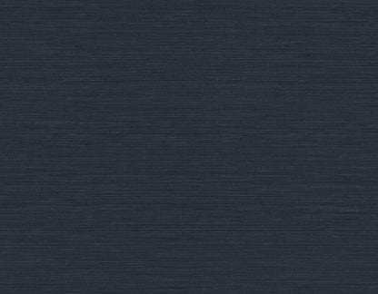 Seabrook Designs Even More Textures Seawave Sisal Sisal Contemporary Blue Matte  - TS82032