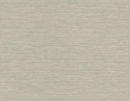 Seabrook Designs Even More Textures Seawave Sisal Sisal Contemporary Beige Matte  - TS82035