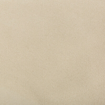 KRAVET DESIGN VINYL/FAUX LEATHER TEXTURE ,,   - ULTRASUEDE.3581.0