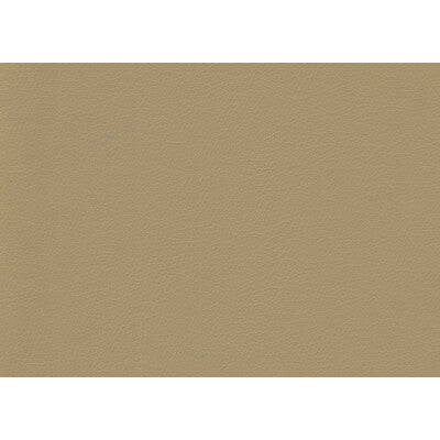 KRAVET CONTRACT VINYL/FAUX LEATHER TEXTURE BEIGE,BEIGE,   - VALERA.16.0