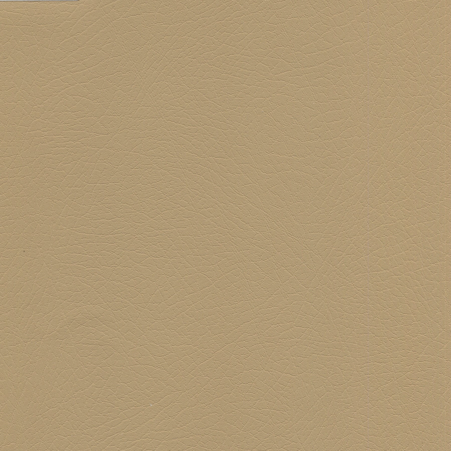 Tan solid fabric swatch with a fine grain pattern.