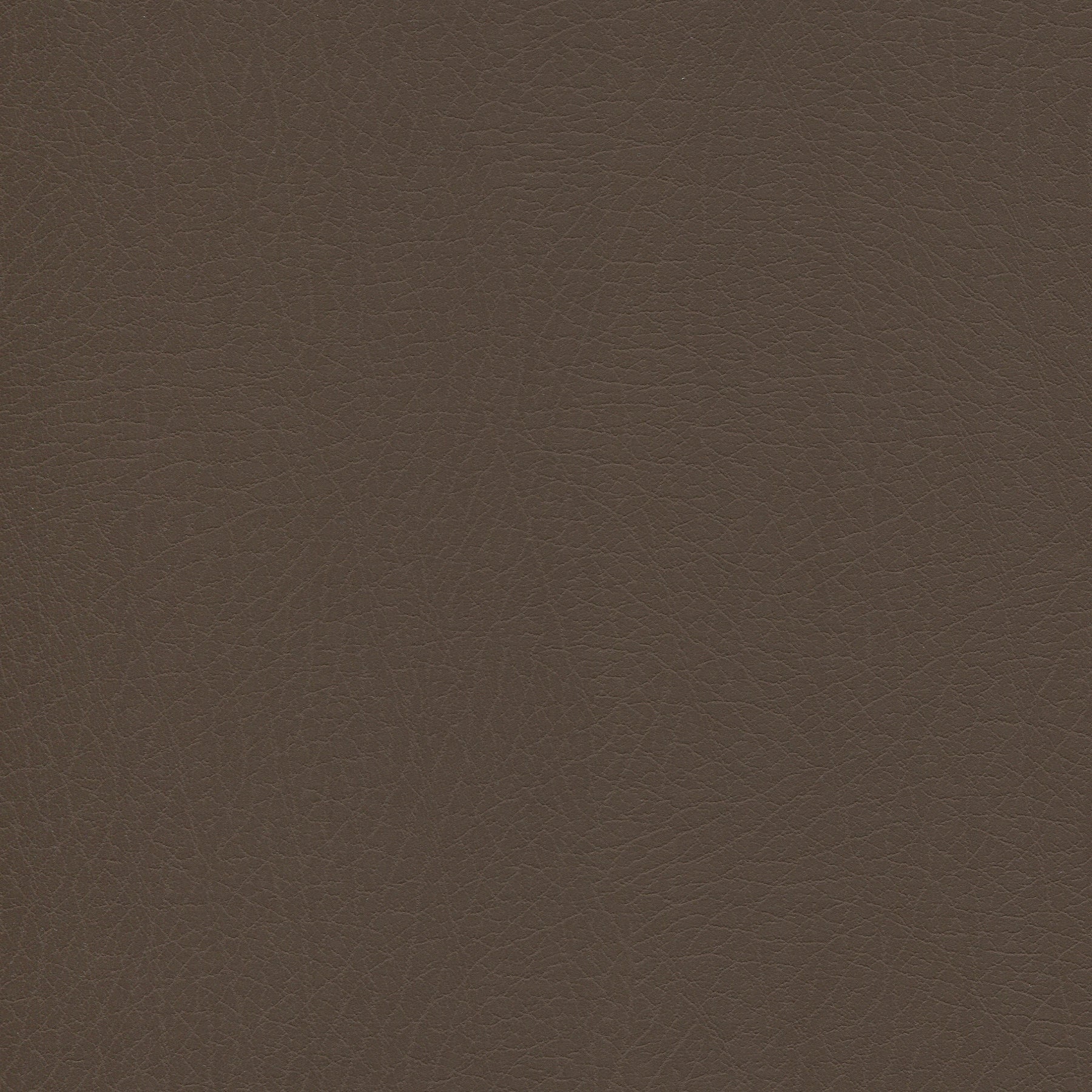 Jasper brown fabric texture with natural grain pattern, suitable for upholstery or accessories.