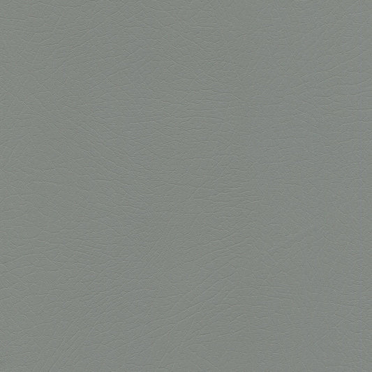 NICHOLASJOHN INC NJ-VOQUE Pyrite Solid   Fabric - NJ25-3618