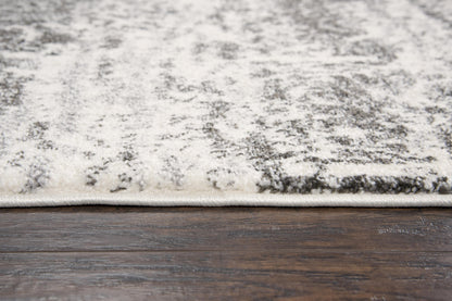 Valencia rug, contemporary, 4' x 6