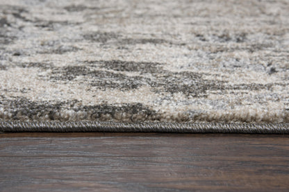 Contemporary rug, 4' x 6'.