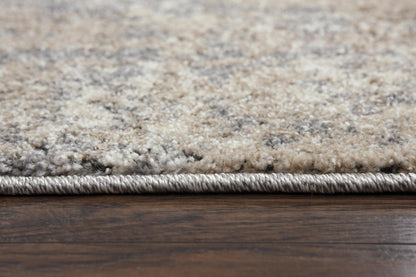 Valencia contemporary rug, 4' x 6'.