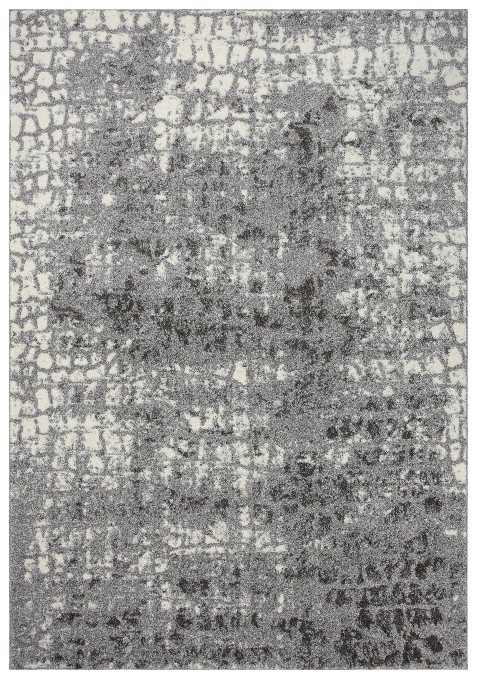 Valencia Contemporary rug, 4' x 6'.