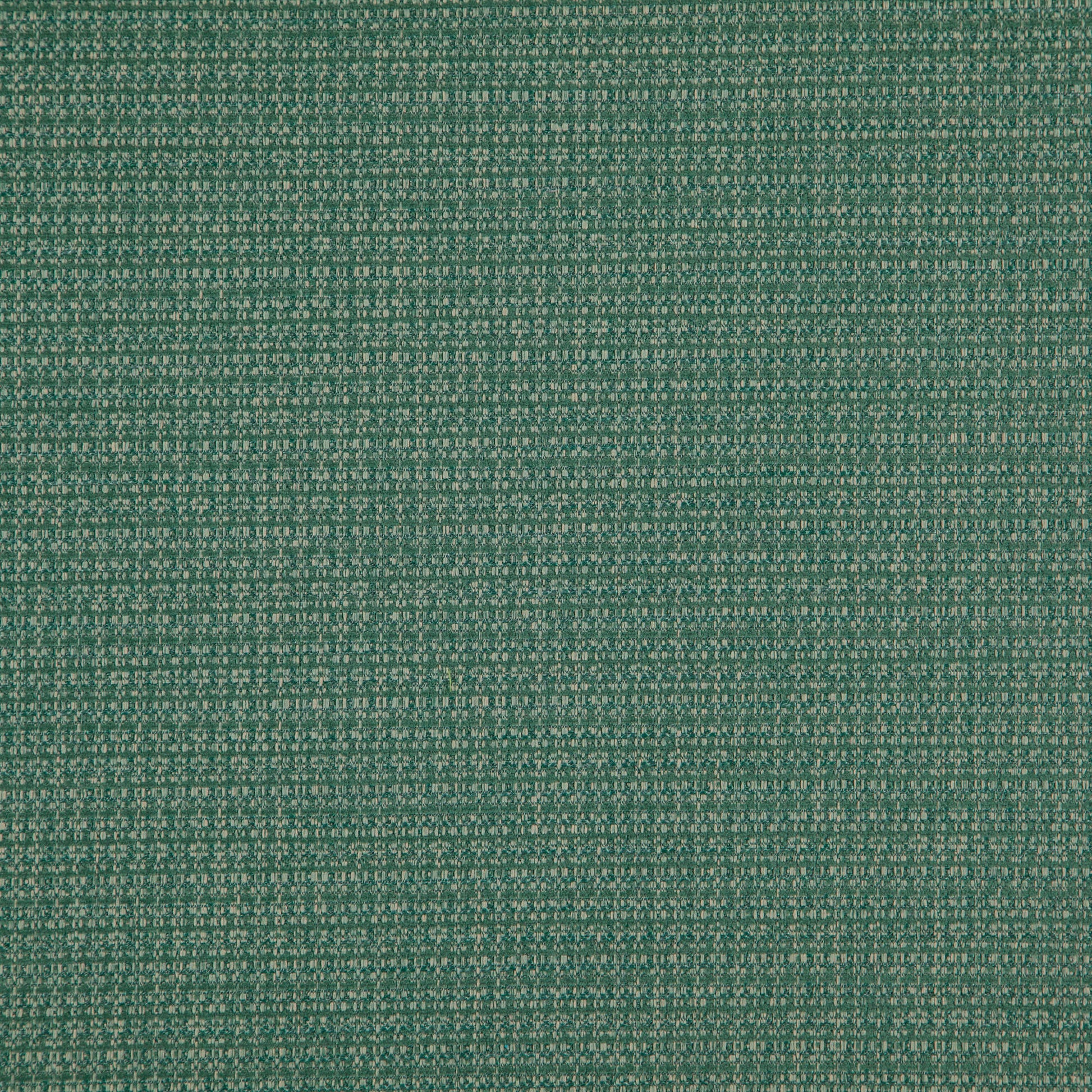Close-up of green chenille fabric with a tight weave.