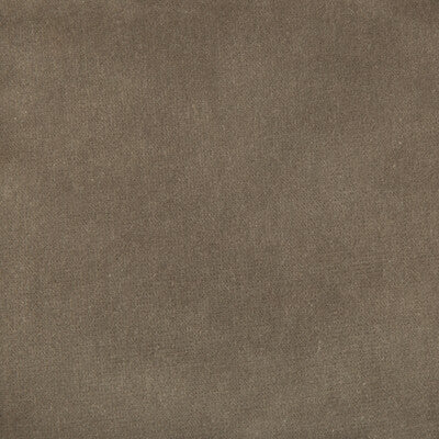 KRAVET DESIGN VELVET TEXTURE GREY,GREY,   - VERSAILLES.E20514.0