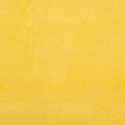 KRAVET DESIGN VELVET TEXTURE YELLOW,YELLOW,   - VERSAILLES.E21303.0