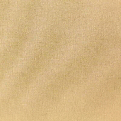 KRAVET DESIGN VELVET TEXTURE BEIGE,BEIGE,   - VERSAILLES.E24204.0