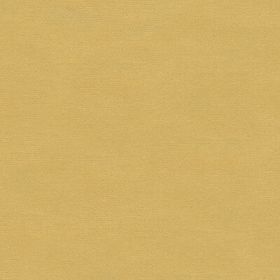 KRAVET DESIGN VELVET TEXTURE BEIGE,BEIGE,   - VERSAILLES.E24303.0