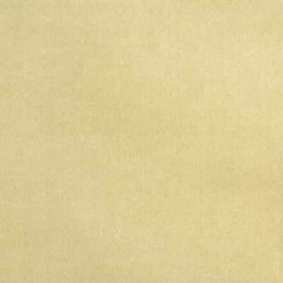 KRAVET DESIGN VELVET TEXTURE BEIGE,BEIGE,   - VERSAILLES.E24401.0