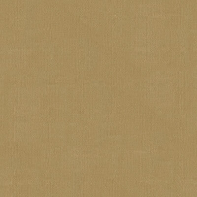 KRAVET DESIGN VELVET TEXTURE BEIGE,BEIGE,   - VERSAILLES.E24422.0