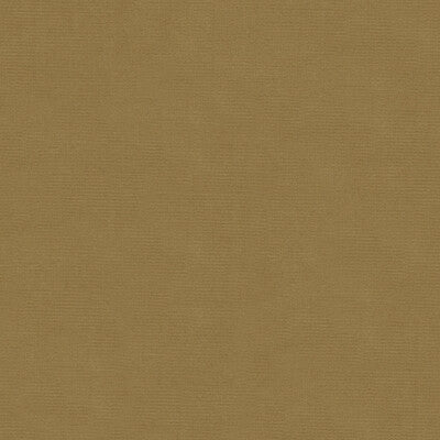 KRAVET DESIGN VELVET TEXTURE BEIGE,BEIGE,   - VERSAILLES.E24423.0