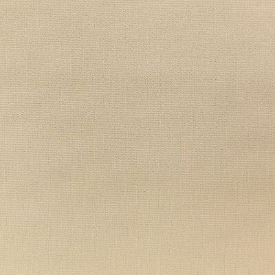 KRAVET DESIGN VELVET TEXTURE BEIGE,BEIGE,   - VERSAILLES.E24424.0