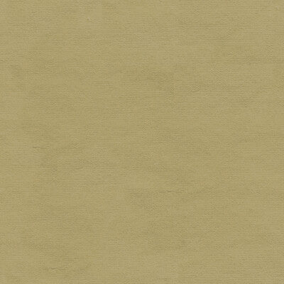 KRAVET DESIGN VELVET TEXTURE BEIGE,BEIGE,   - VERSAILLES.E24428.0