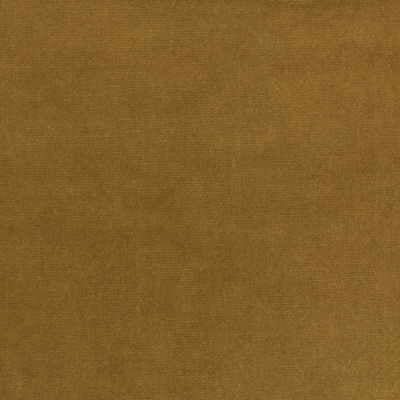 KRAVET DESIGN VELVET TEXTURE BEIGE,BEIGE,   - VERSAILLES.E24700.0