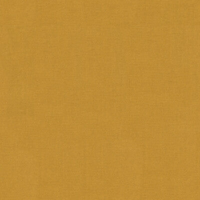 KRAVET DESIGN VELVET TEXTURE BEIGE,BEIGE,   - VERSAILLES.E24803.0