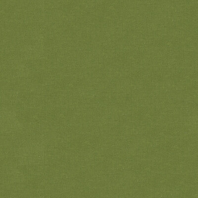 KRAVET DESIGN VELVET TEXTURE GREEN,GREEN,   - VERSAILLES.E26003.0