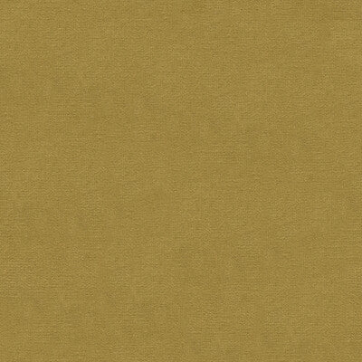 KRAVET DESIGN VELVET TEXTURE BEIGE,BEIGE,   - VERSAILLES.E26049.0