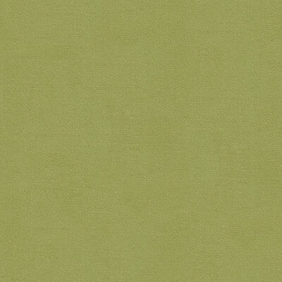 KRAVET DESIGN VELVET TEXTURE GREEN,GREEN,   - VERSAILLES.E26120.0