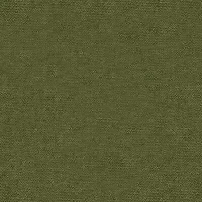 KRAVET DESIGN VELVET TEXTURE GREEN,GREEN,   - VERSAILLES.E26202.0