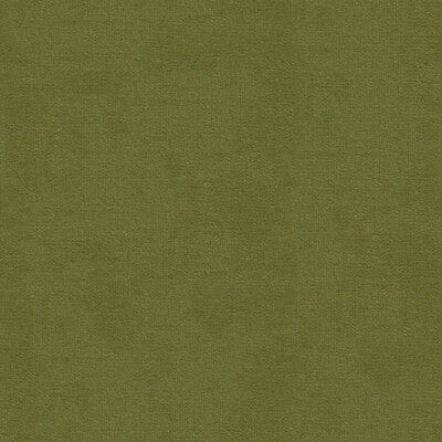 KRAVET DESIGN VELVET TEXTURE GREEN,GREEN,   - VERSAILLES.E26226.0