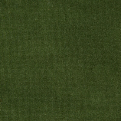 KRAVET DESIGN VELVET TEXTURE GREEN,GREEN,   - VERSAILLES.E26320.0