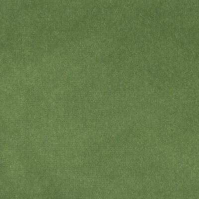 KRAVET DESIGN VELVET TEXTURE GREEN,GREEN,   - VERSAILLES.E26425.0