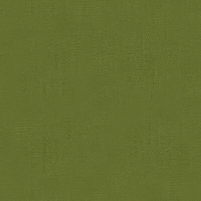 KRAVET DESIGN VELVET TEXTURE GREEN,GREEN,   - VERSAILLES.E26500.0