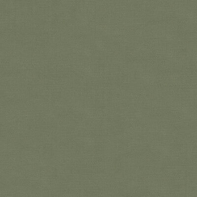 KRAVET DESIGN VELVET TEXTURE LIGHT GREEN,LIGHT GREEN,   - VERSAILLES.E26512.0