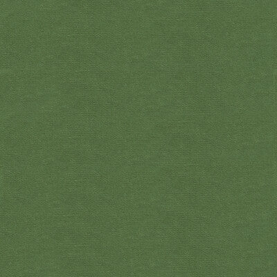 KRAVET DESIGN VELVET TEXTURE GREEN,GREEN,   - VERSAILLES.E26608.0