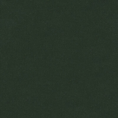 KRAVET DESIGN VELVET TEXTURE GREEN,GREEN,   - VERSAILLES.E26782.0